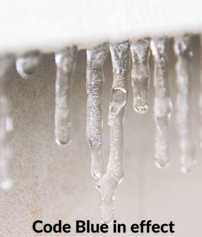 Code Blue updated web