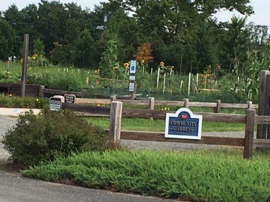 pennington-park garden