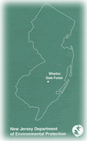 Wharton State Forest Brochure Cover