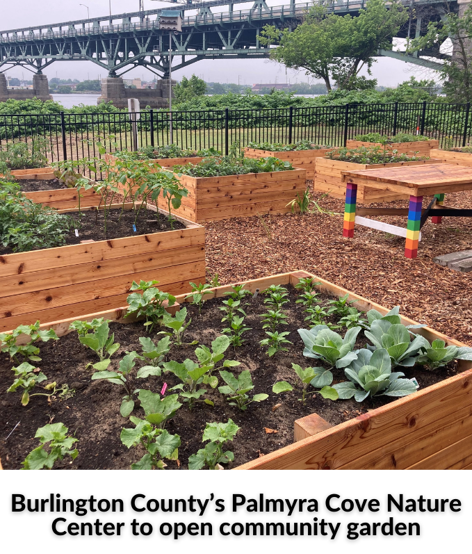 Forum on Police Interaction - 2021-06-03T141718.013