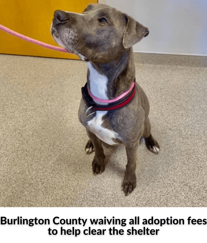 Forum on Police Interaction - 2021-09-17T091856.547