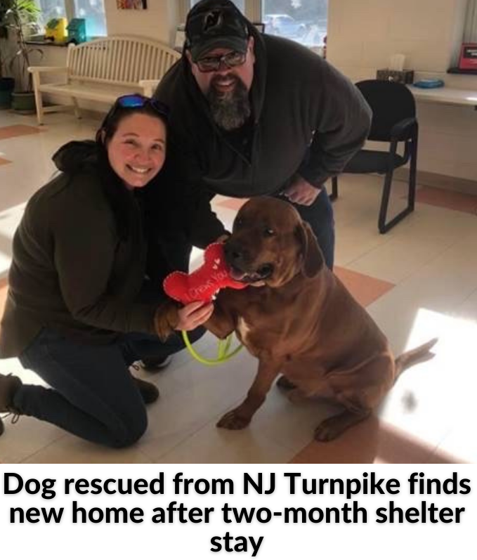 F9234267-A9A9-4F7D-A49D-CB98F964FAFC