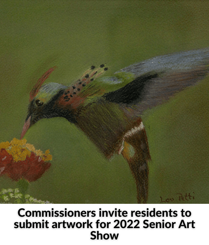 Forum on Police Interaction - 2022-05-23T134357.141