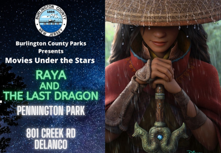 Untitled design (18)