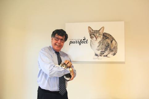 animal shelter 5-resized