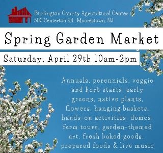 Spring Garden Market