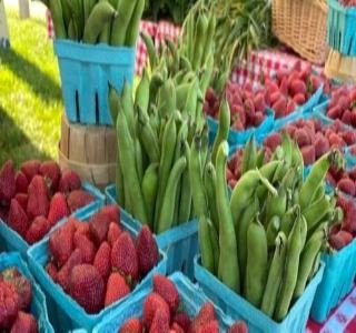 Burlco Farmers Market vouchers 1