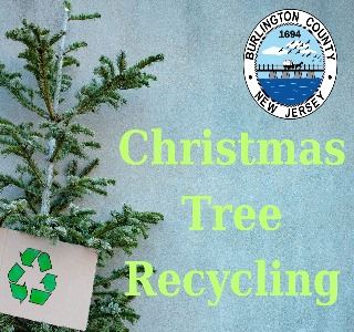 New tree recycling graphic v2 resized