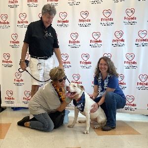 Clear the Shelter 2024 2 resized