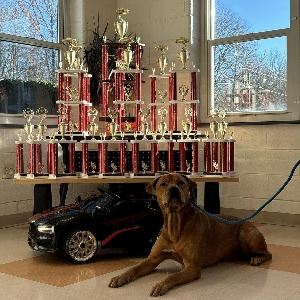 Animal Shelter Car Show promo resized