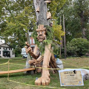 Troll Trek-Visser resized