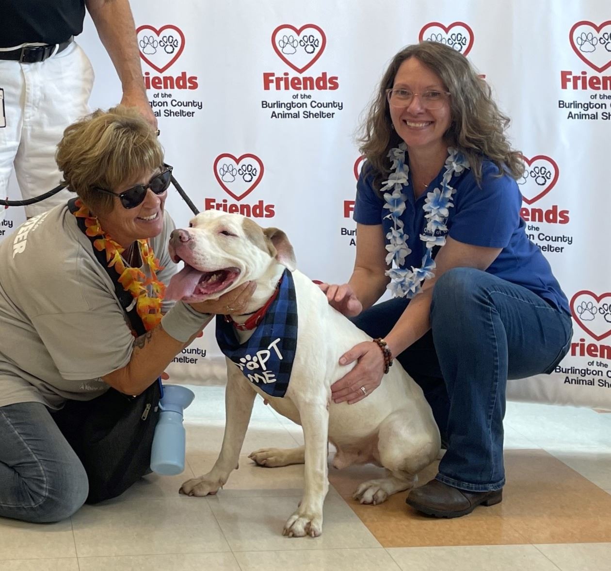 Clear the Shelter Open House promo 1