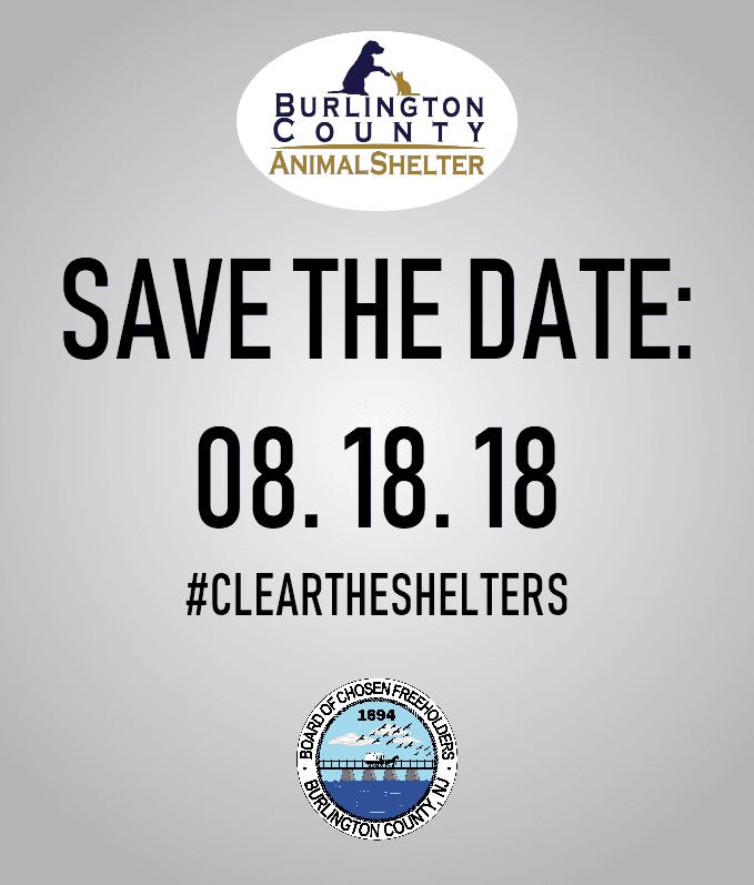 Clear the Shelter 2018