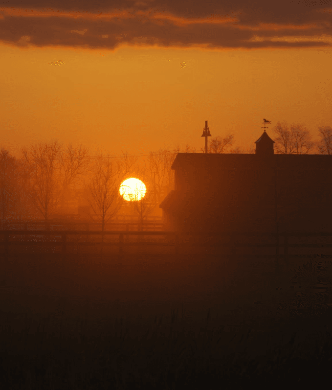 Fairgrounds at Dusk