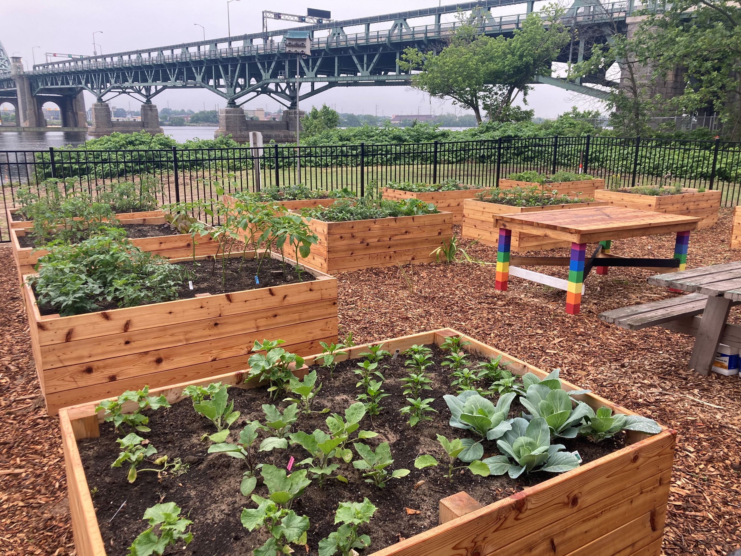Palmyra Cove Community Garden 1