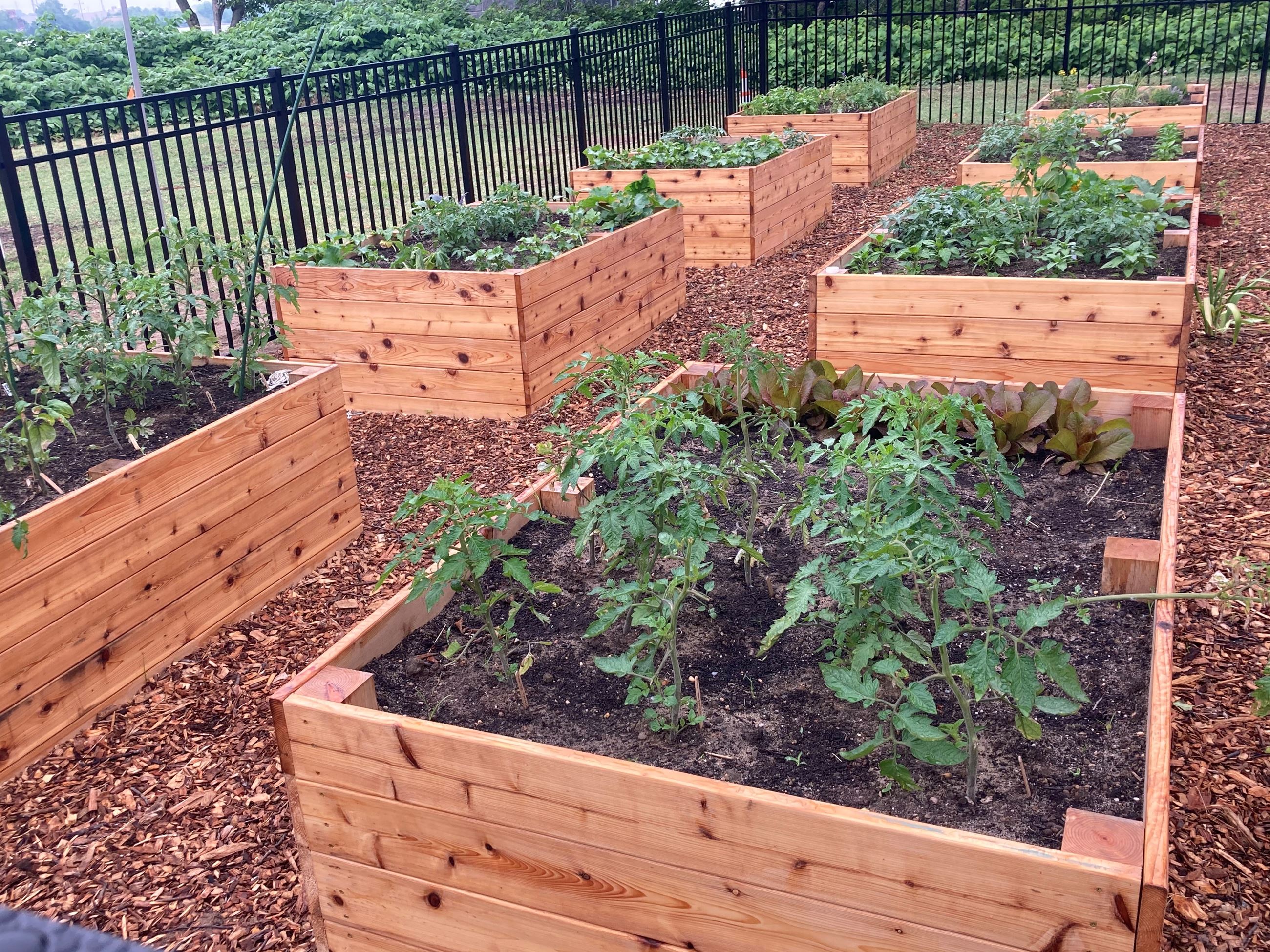 Palmyra Cove Community Garden 2