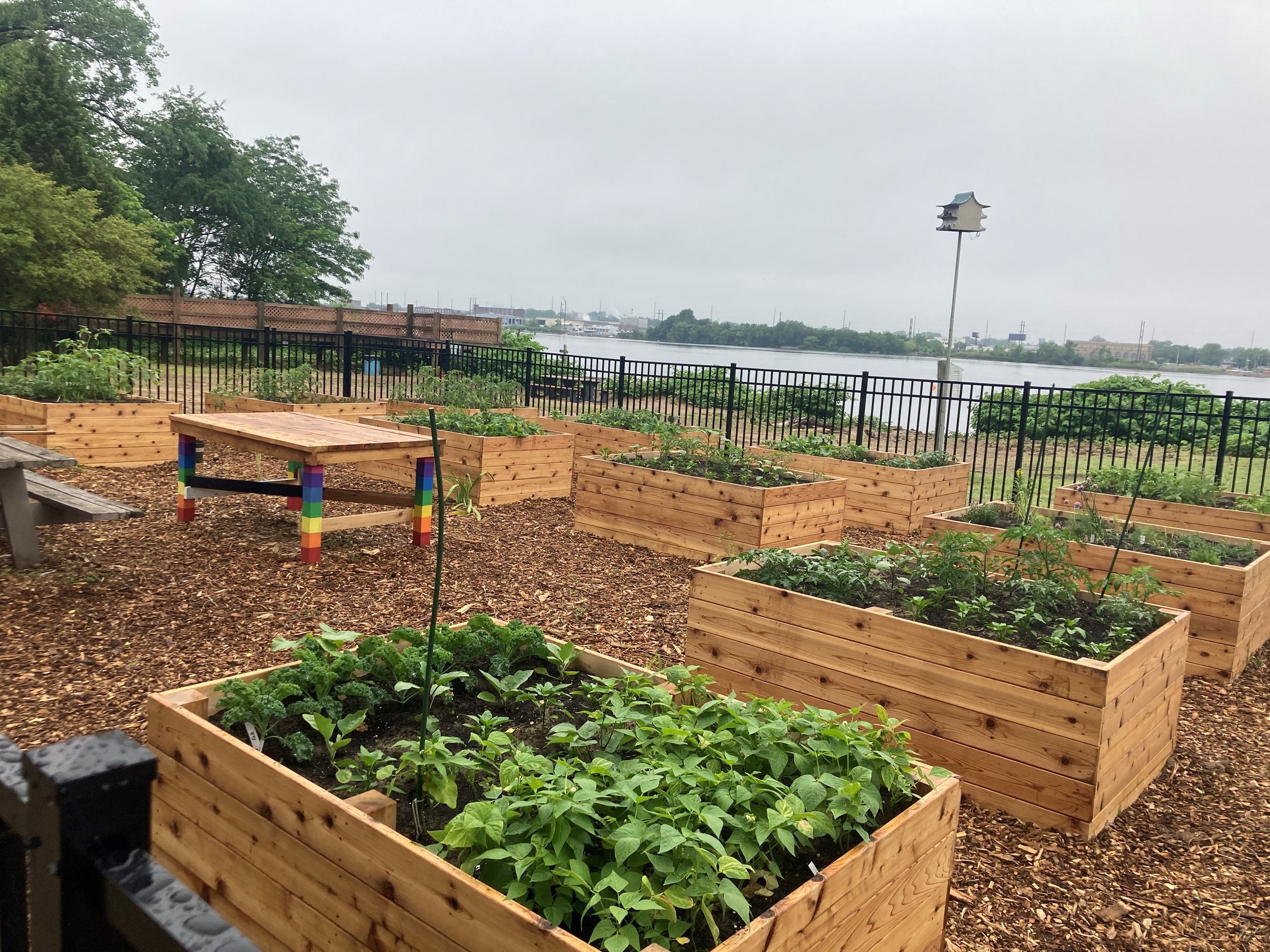 Palmyra Cove Community Garden 4