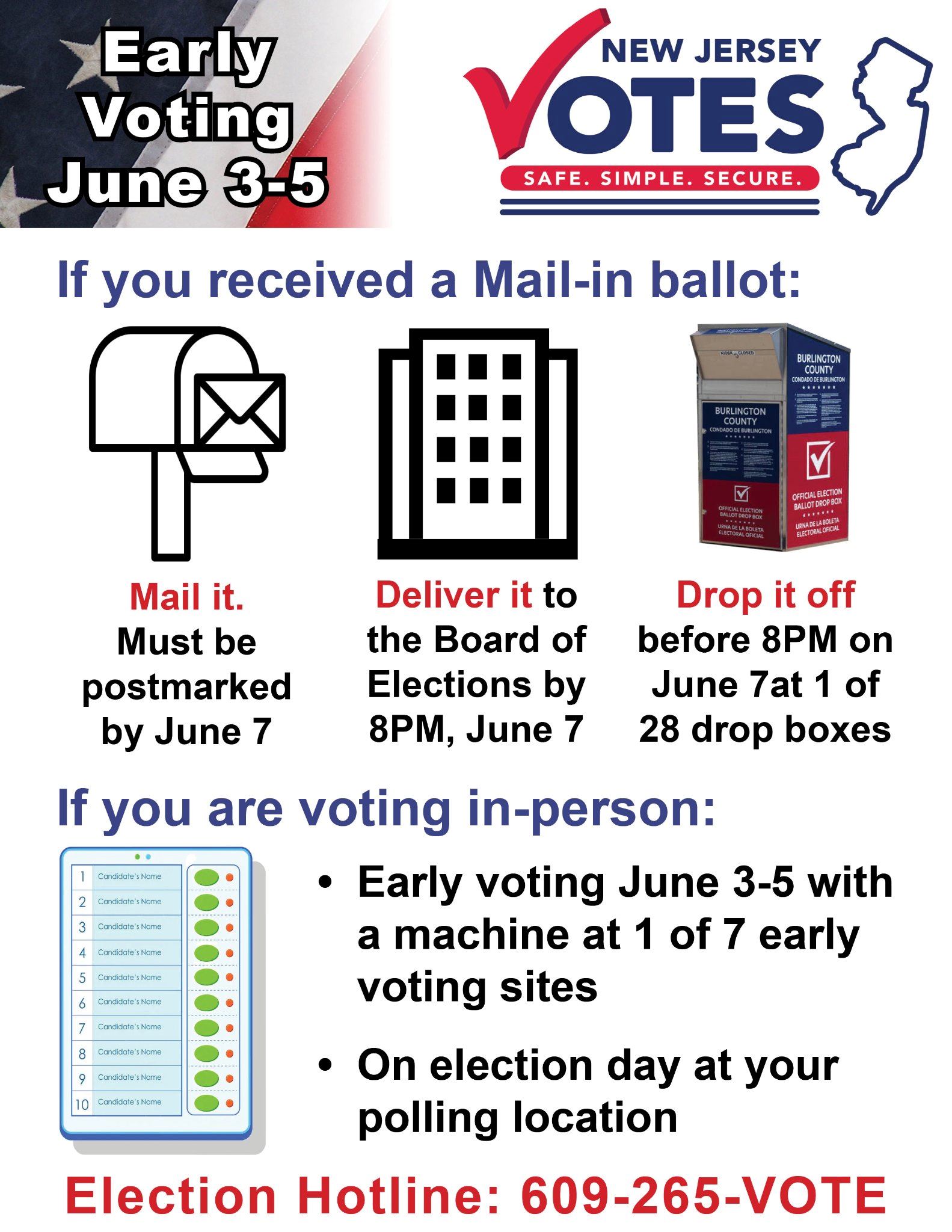 Primary Voting Grapic