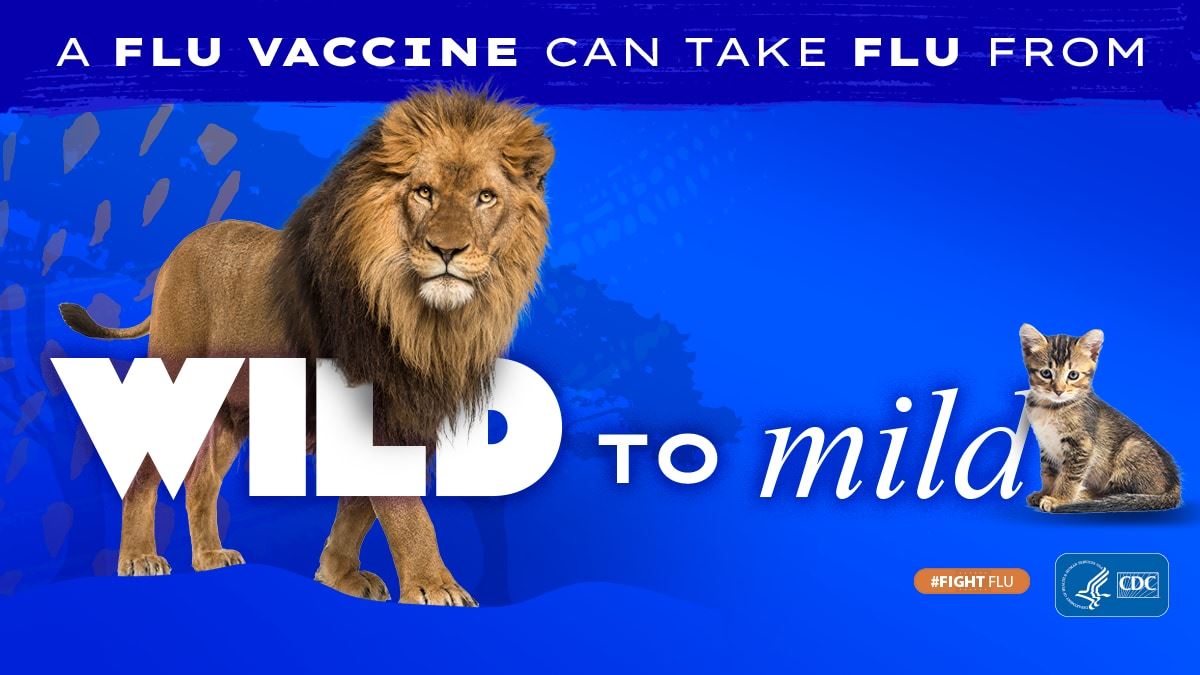 The flu vaccine can take the flu from wild to mild